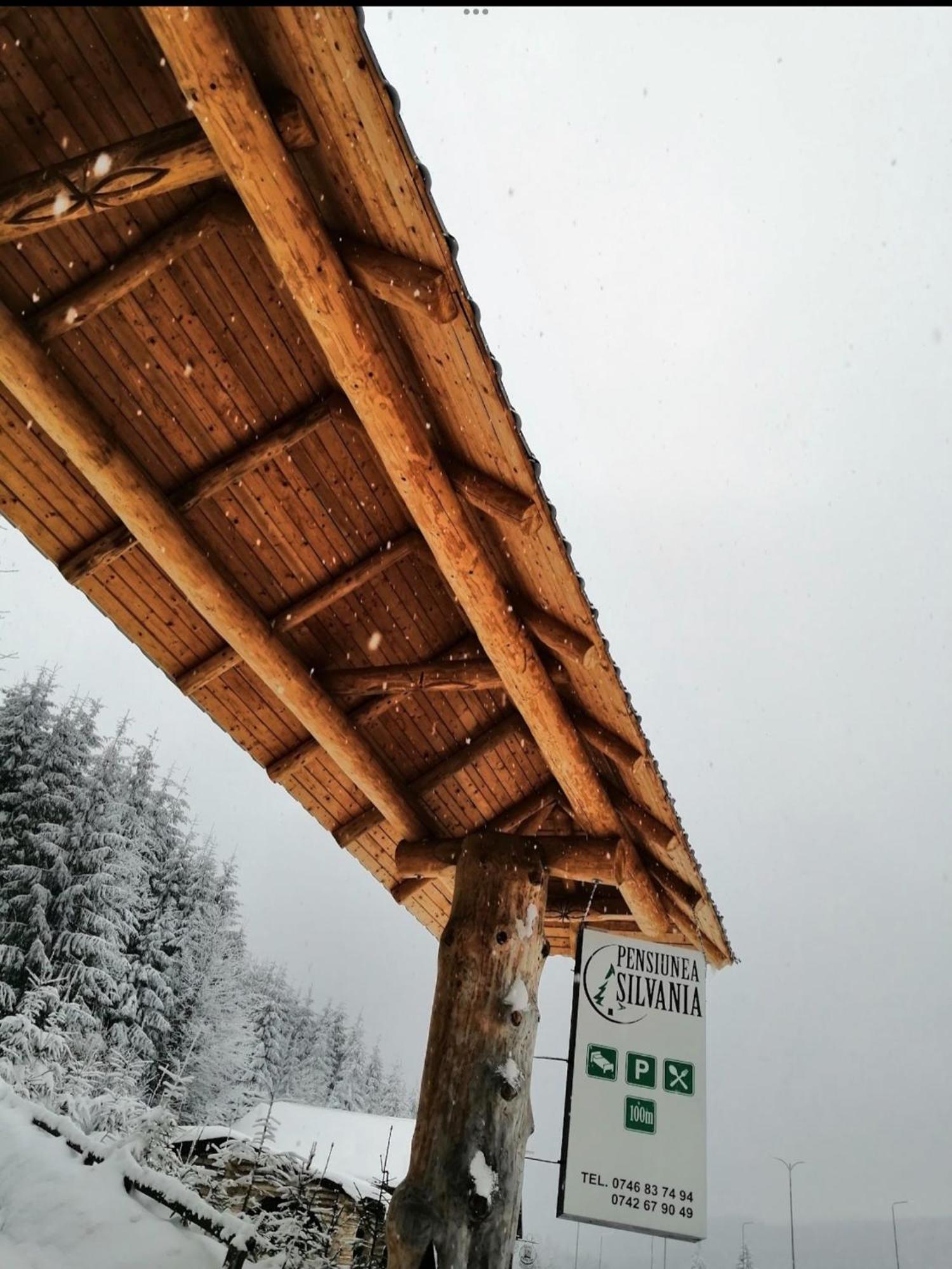 Pensiunea Silvania Statiunea Buitenkant foto